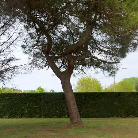 Apartment House Cavallino-Treporti
